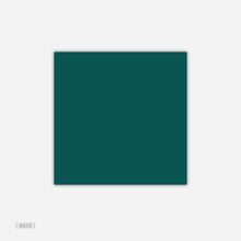 Load image into Gallery viewer, Canter Save the Date